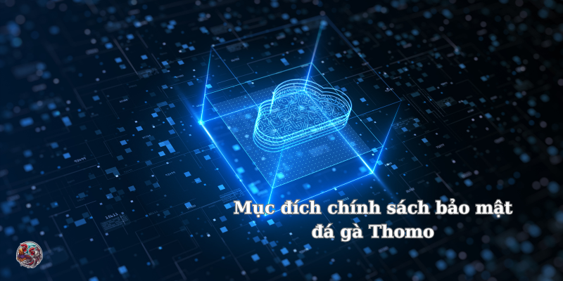 Mục đích chính sách bảo mật đá gà Thomo